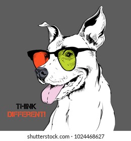 Portrait of the bulldog in the colored glasses. Vector illustration.