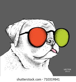 Portrait of the bulldog in the colored glasses. Vector illustration.