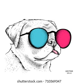 Portrait of the bulldog in the colored glasses. Vector illustration.