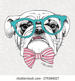 Portrait of a bulldog in green glasses and pink striped tie on gray grunge background. Vector illustration.