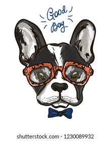 Portrait of a bulldog in leopard orange  glasses and blue bow tie on white background. Vector illustration. T-shirt print.
