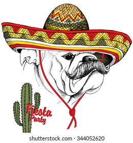 Portrait of a Bulldog with mustache in Mexico sombrero and cactus. Vector illustration.