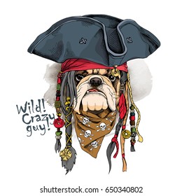 Portrait of a bulldog in Pirate hat, bandana and with a dreadlocks. Vector illustration.