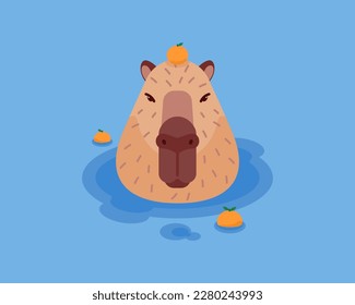 Portrait of a capybara sitting in the water with a tangerine on its head