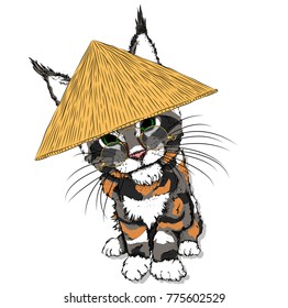 Portrait of a cat in a Asian hat. Can be used for printing on T-shirts, flyers, etc. Vector illustration