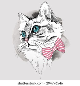 Portrait cat with blue eyes in a tie. Vector illustration