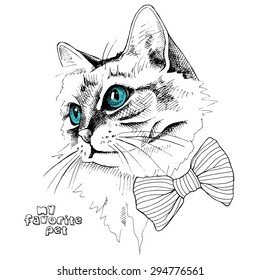 Portrait cat with blue eyes in a tie. Vector illustration
