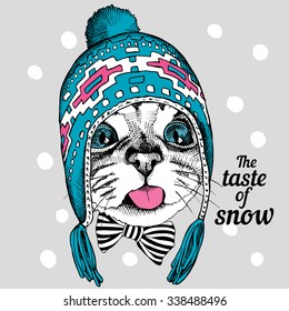 Portrait of a cat in blue winter hat with ear flaps. Vector illustration.