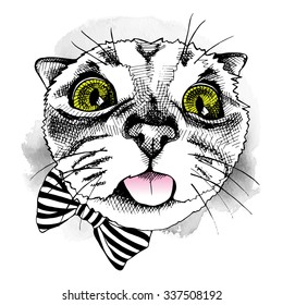 Portrait of a cat with bow. Vector illustration.