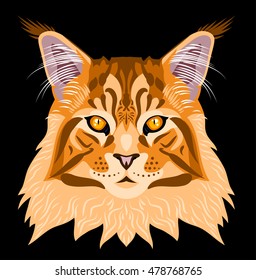 Portrait of a cat breed Maine Coon red color