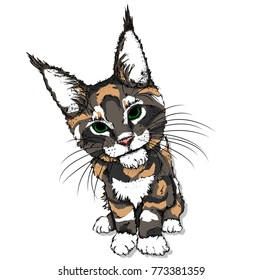 Portrait of a cat. Can be used for printing on T-shirts, flyers, etc. Vector illustration