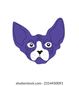 Portrait of a cat in cartoon style. Sphinx cat. The concept of pets, printing on clothes, packaging.