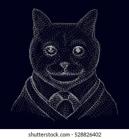 portrait of a cat constellation