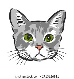 portrait of a cat, domestic cat, vector illustration of a sketch