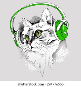 Portrait cat with green eyes in a headphones. Vector illustration