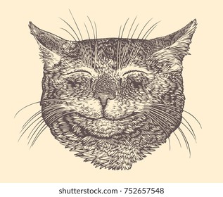 Portrait of a Cat. Hand drawn engraving. Vector vintage illustration. Isolated on light background. 8 EPS