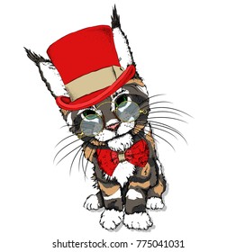 Portrait of a cat in a hat. Can be used for printing on T-shirts, flyers, etc. Vector illustration