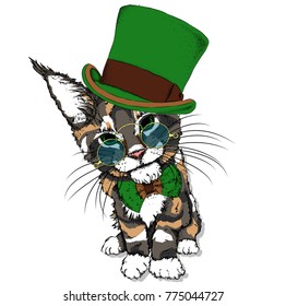 Portrait of a cat in a hat. Can be used for printing on T-shirts, flyers, etc. Vector illustration