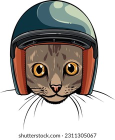 Portrait of cat in helmet. Vector illustration.