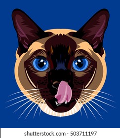 Portrait of a cat licks