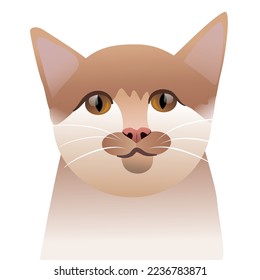 portrait of a cat looking at the camera