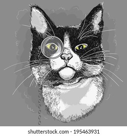 Portrait Of A Cat In A Monocle. Illustration