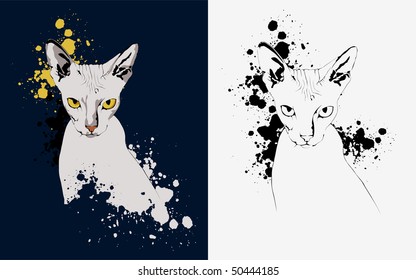 portrait of a cat on an abstract background, yellow eyes