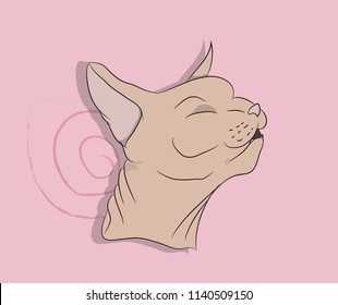 portrait of a cat, on a background, vector