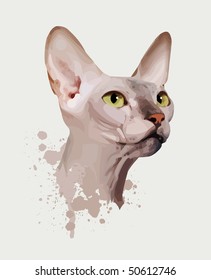 retrato de un gato con fondo blanco, ojos amarillos