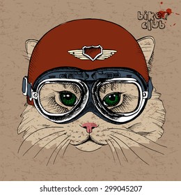 Retrato de un gato en un casco retro. Ilustración vectorial.