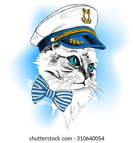 Portrait cat in a sailor's cap and tie on blue background. Vector illustration.