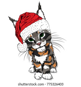 Portrait of a cat in a Santa Claus hat. Can be used for printing on T-shirts, flyers, etc. Vector illustration
