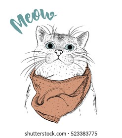 Portrait of a Cat with a scarf. vector illustration.