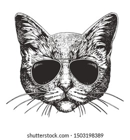 Portrait Cat and sunglasses  Hand  drawn illustration  Vector