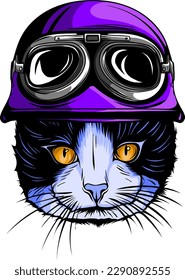 Retrato de gato con casco antiguo. Ilustración del vector