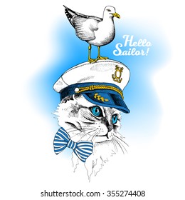 Portrait of cat wearing a sailors hat and seagull on blue background. Vector illustration.