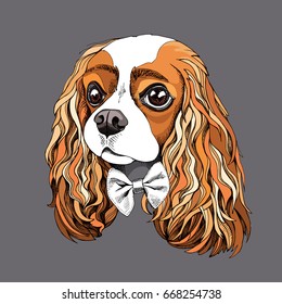 Portrait of the Cavalier King Charles Spaniel in a bow tie. Vector illustration.