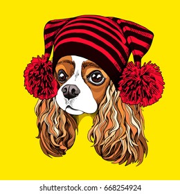 Portrait of the Cavalier King Charles Spaniel in a knitted cap with pom pom. Vector illustration.