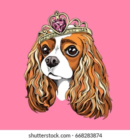 Retrato del rey Cavalier Charles Spaniel en una corona Princesa sobre fondo rosa. Ilustración vectorial.