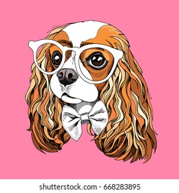 Portrait of the Cavalier King Charles Spaniel in a glasses and with bow tie on a pink background. Vector illustration.