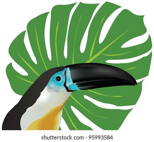 Portrait of a channel-billed Toucan. The vector illustration was created using meshes and gradients.