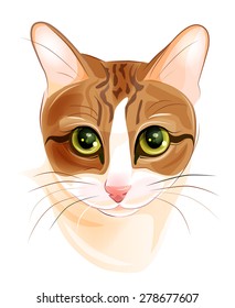 portrait of charming ginger cat