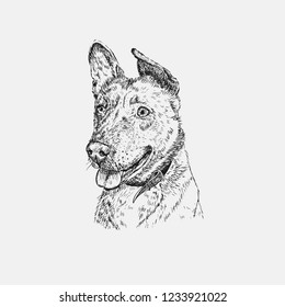 Portrait of a cheerful dog. Vector illustration.