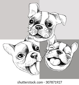 Portrait of cheerful French Bulldog laughing. Vector illustration.