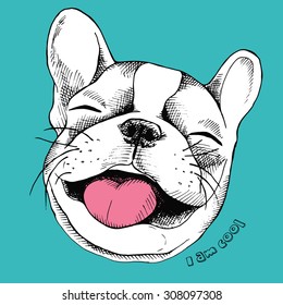 Portrait of cheerful French Bulldog laughing. Vector illustration.