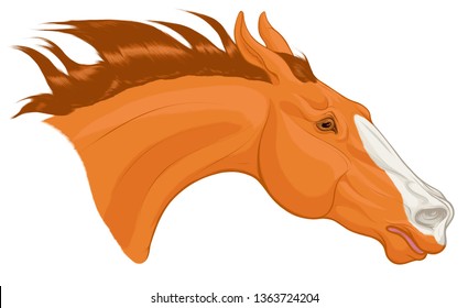 Portrait of chestnut horse craned its neck forward, laid his ears back. Head of a running steed with a blaze face marking, fluttering mane. Vector clip art for equestrian goods and show jumping clubs.