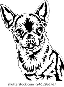 Porträt eines Chihuahua-Hundes. Gliederungsdarstellung der Vektorgrafik ohne Hintergrund