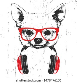 Portrait of Chihuahua with glasses and headphones. Hand-drawn illustration. Vector