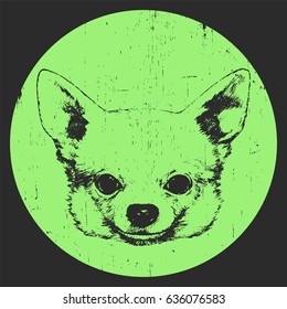 Portrait of Chihuahua. Hand-drawn illustration. T-shirt design. Vector