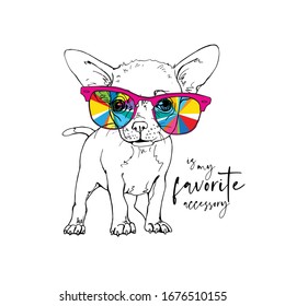 Portrait of a Chihuahua puppy in a rainbow glasses. Funny Cartoon Characters. Humor card, t-shirt composition, hand drawn style print. Vector illustration.